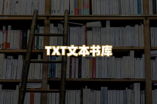 TXT文本书库